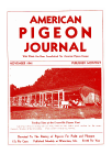 Magazine Cover